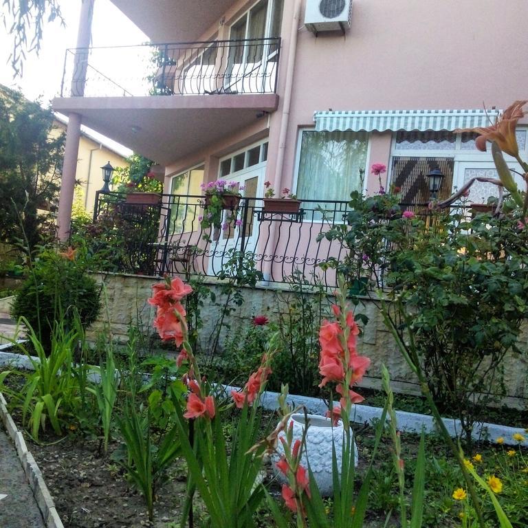 ホテル Casa Dalena コスティネシュティ エクステリア 写真