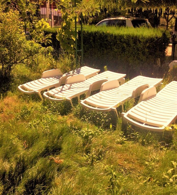 ホテル Casa Dalena コスティネシュティ エクステリア 写真