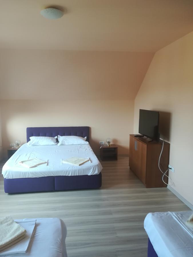 ホテル Casa Dalena コスティネシュティ エクステリア 写真