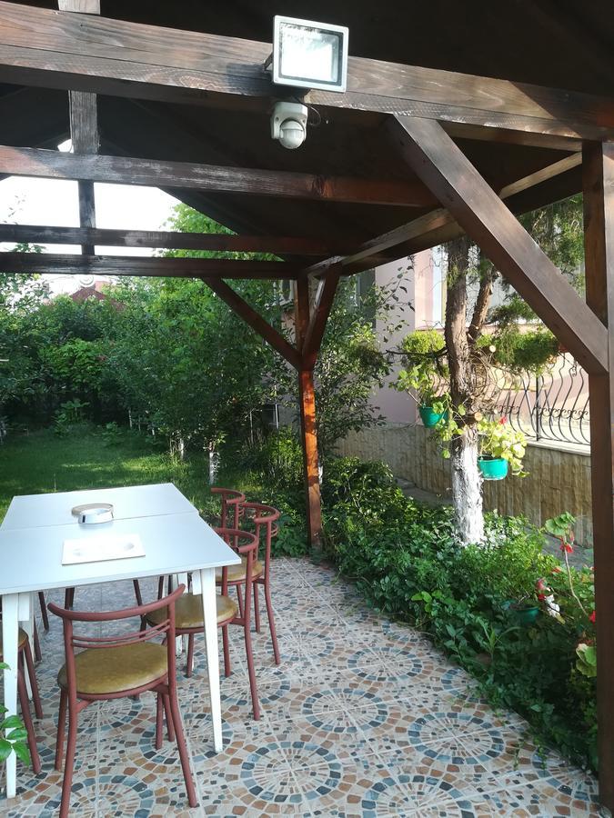 ホテル Casa Dalena コスティネシュティ エクステリア 写真