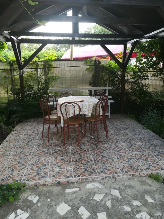 ホテル Casa Dalena コスティネシュティ エクステリア 写真