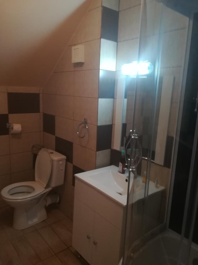 ホテル Casa Dalena コスティネシュティ エクステリア 写真