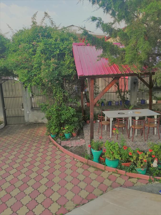 ホテル Casa Dalena コスティネシュティ エクステリア 写真