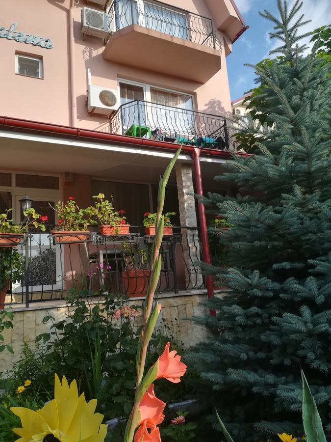 ホテル Casa Dalena コスティネシュティ エクステリア 写真