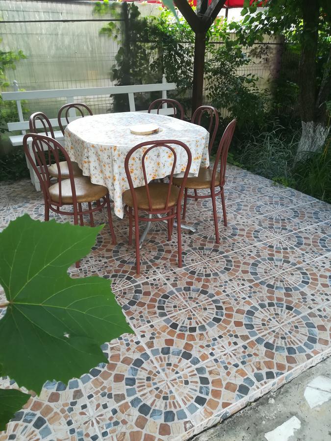 ホテル Casa Dalena コスティネシュティ エクステリア 写真